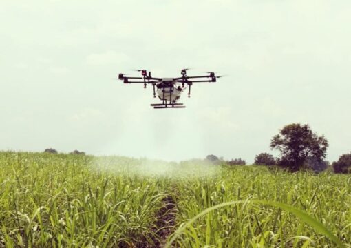 Aplicação de biológicos por drone gera lucro